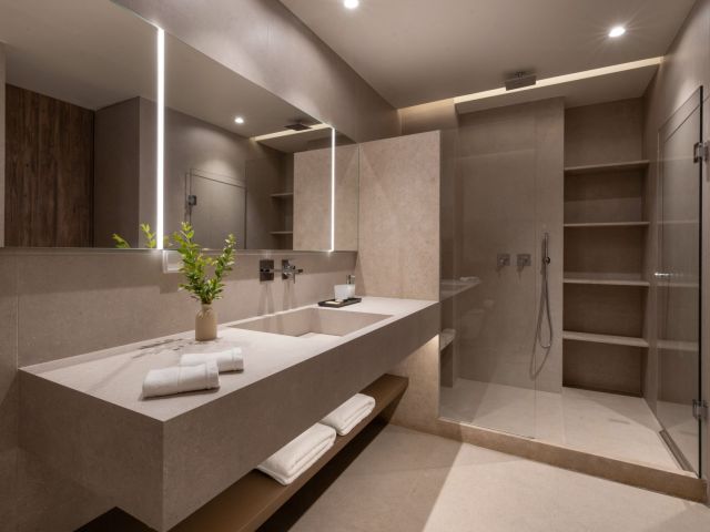 Bathroom Lower Floor