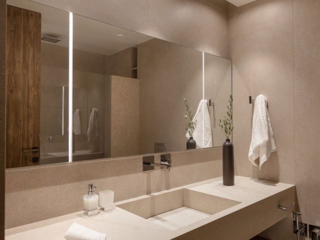 Bathroom Lower Floor