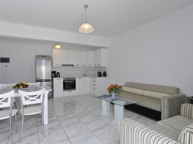 Living room and Kitchen Guest House 1