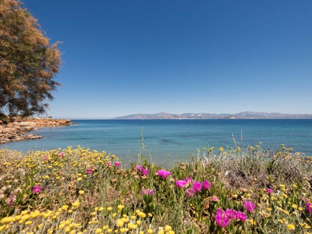 A beautiful sandy beach in front of the vilals