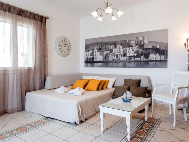 Double sofa-bed in the living room
